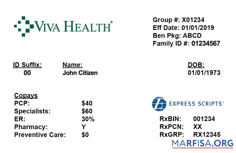Printable USA VivaHealth health insurance card template